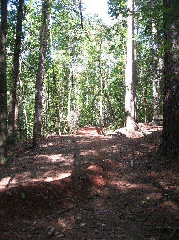 A sunlit forest trail winding through tall trees, with sunlight filtering through the leaves creating dappled shadows on the ground. The path is lined with rich, reddish soil and surrounded by greenery, suggesting a serene and natural environment. Big Creek mountain bike trail.