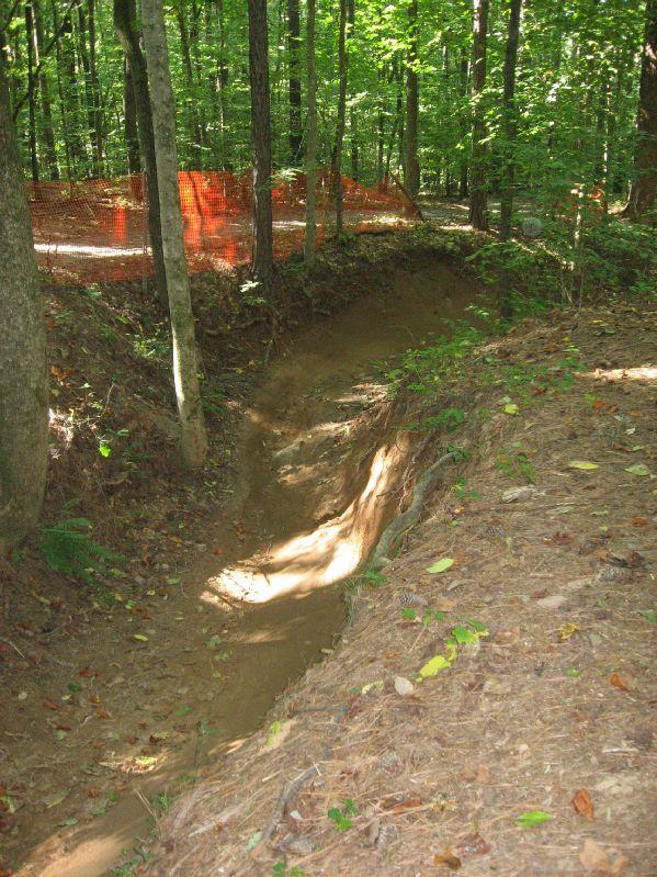 A narrow, sunlit dirt ravine surrounded by trees, with a construction barrier made of orange netting visible in the background. The ground shows some fallen leaves and pine needles. Big Creek mountain bike trail.