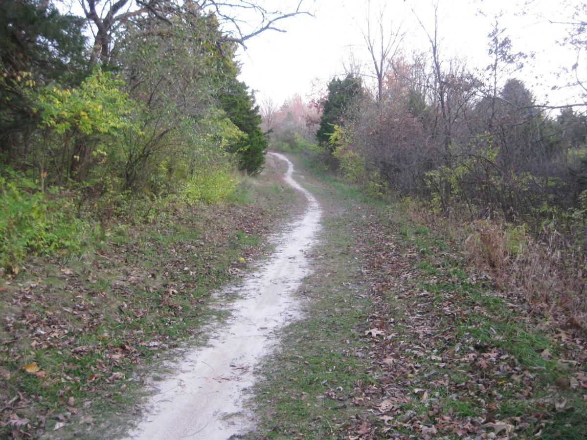 A winding dirt path through a wooded area, lined with trees and shrubs, with fallen leaves scattered along the ground. The trail curves gently to the right, leading into the distance. The scene captures the tranquility of a natural setting during autumn. Landahl Park Reserve mountain bike trail.