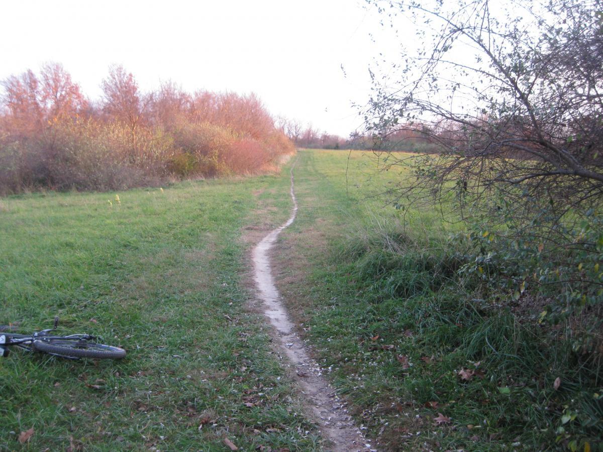 A narrow dirt path winding through a grassy field, flanked by shrubs and trees with autumn foliage. A bicycle lies on its side in the foreground, suggesting a recreational outdoor setting. Landahl Park Reserve mountain bike trail.