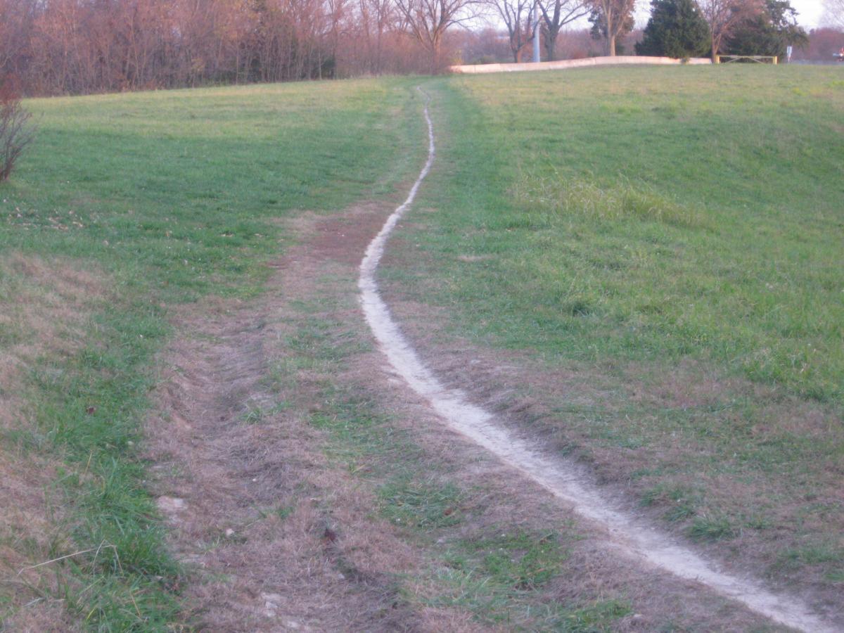 A winding dirt path meanders through a grassy field, bordered by a mix of green and brown vegetation. Trees are visible in the background, hinting at a natural, open space perfect for walking or exploring. The scene is peaceful, capturing the essence of a tranquil outdoor setting. Landahl Park Reserve mountain bike trail.