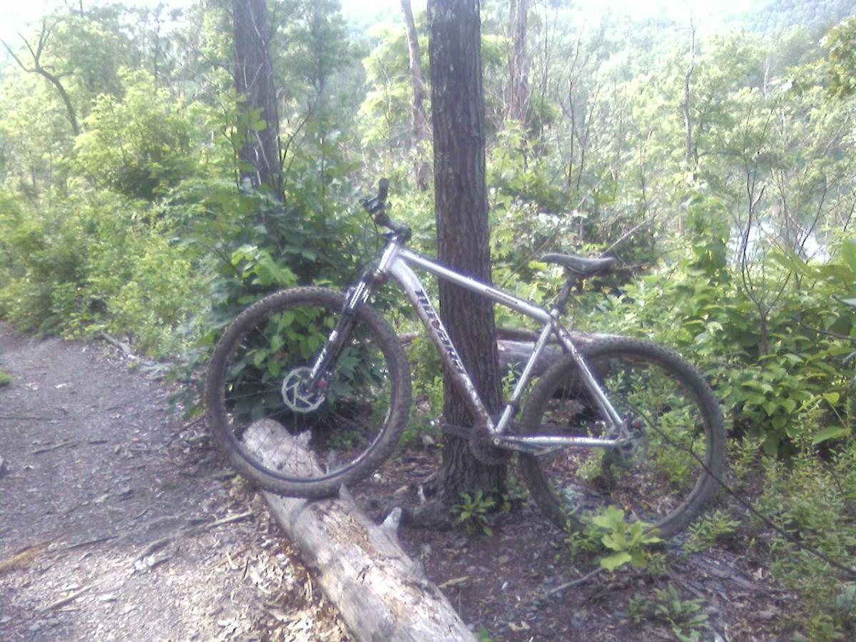 A mountain bike resting against a tree on a dirt trail surrounded by lush greenery and foliage. The bike is muddy, suggesting it has recently been used on a rugged terrain. A fallen log is also visible on the trail. Tsali Right Loop mountain bike trail.