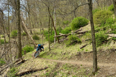 A mountain biker leans into a turn on a dirt trail surrounded by trees and greenery in a forested area. North Park mountain bike trail.