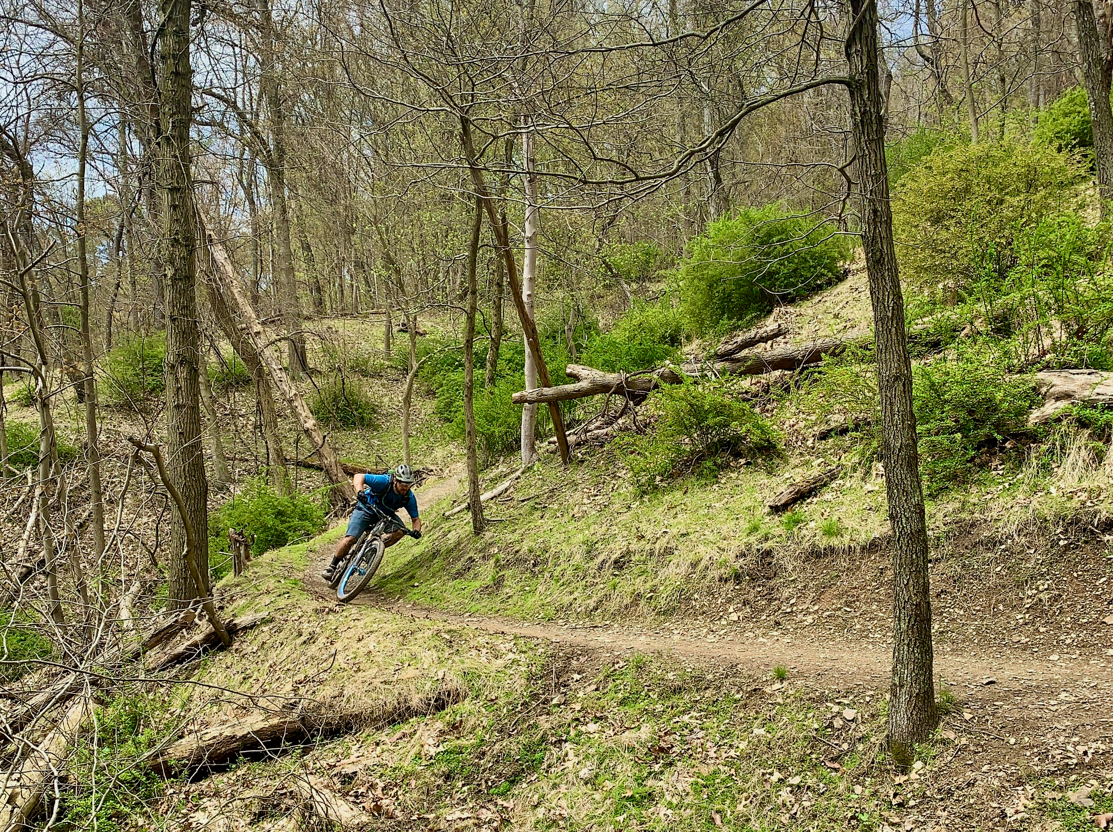 A mountain biker leans into a turn on a dirt trail surrounded by trees and greenery in a forested area. North Park mountain bike trail.