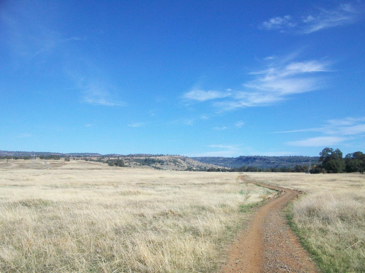 A winding dirt path leads through a golden, grassy field under a clear blue sky, with rolling hills visible in the background. Upper Bidwell Park mountain bike trail.