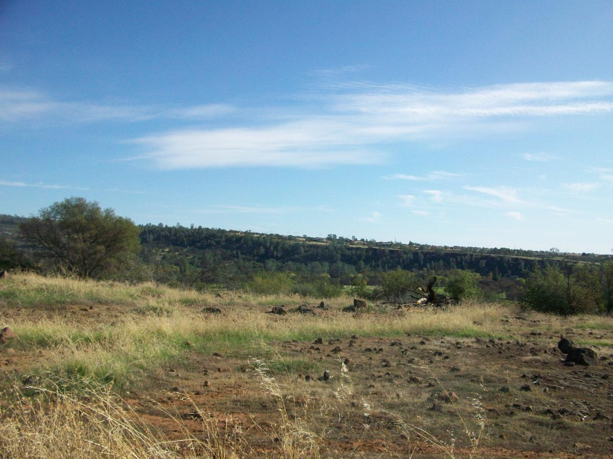 A scenic landscape featuring rolling hills under a clear blue sky, with patches of green trees in the background and a foreground of dry grass and scattered rocks. Upper Bidwell Park mountain bike trail.
