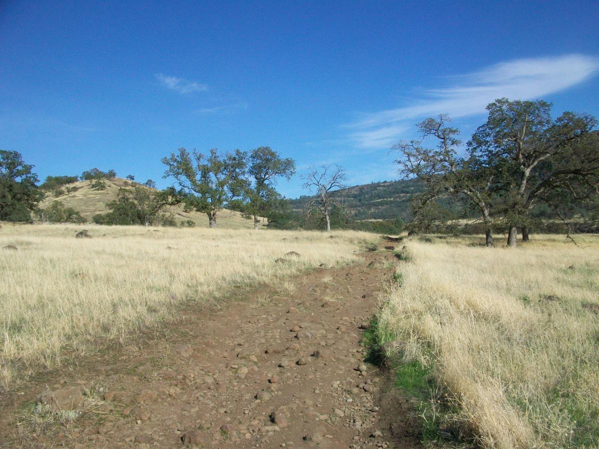A dirt path winding through a grassy field, surrounded by scattered rocks and a few trees. In the background, a hilly landscape is visible under a clear blue sky with a few clouds. The scene depicts a tranquil natural environment. Upper Bidwell Park mountain bike trail.