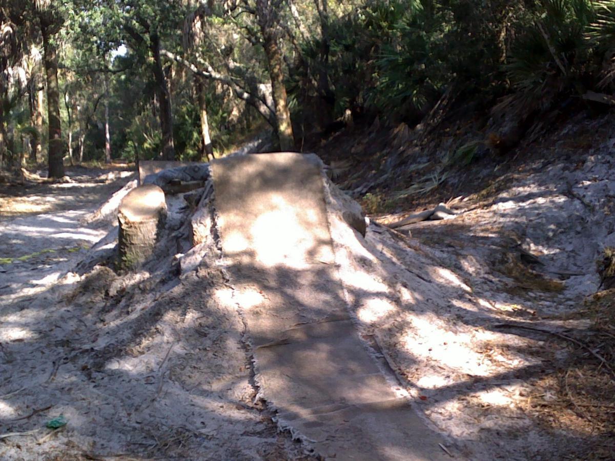 A dirt biking ramp situated in a wooded area, surrounded by tall trees and sandy ground. The ramp appears to be homemade, with a smooth surface leading to an incline. Sunlight filters through the foliage, creating a dappled light effect on the ramp and the surrounding ground. Bum Trails mountain bike trail.
