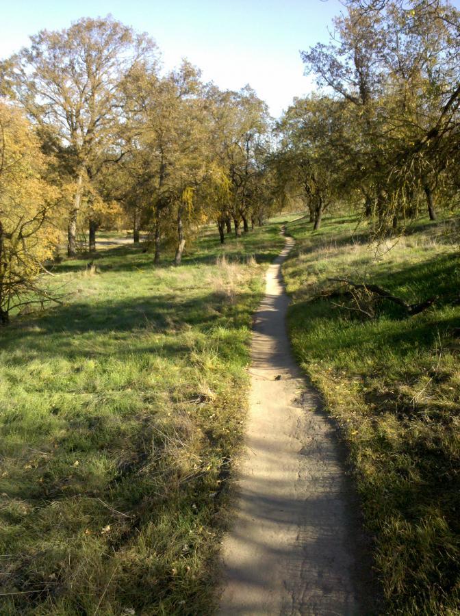 A winding dirt path leads through a grassy field surrounded by trees with golden leaves under a clear blue sky. Dry Creek Trail mountain bike trail.