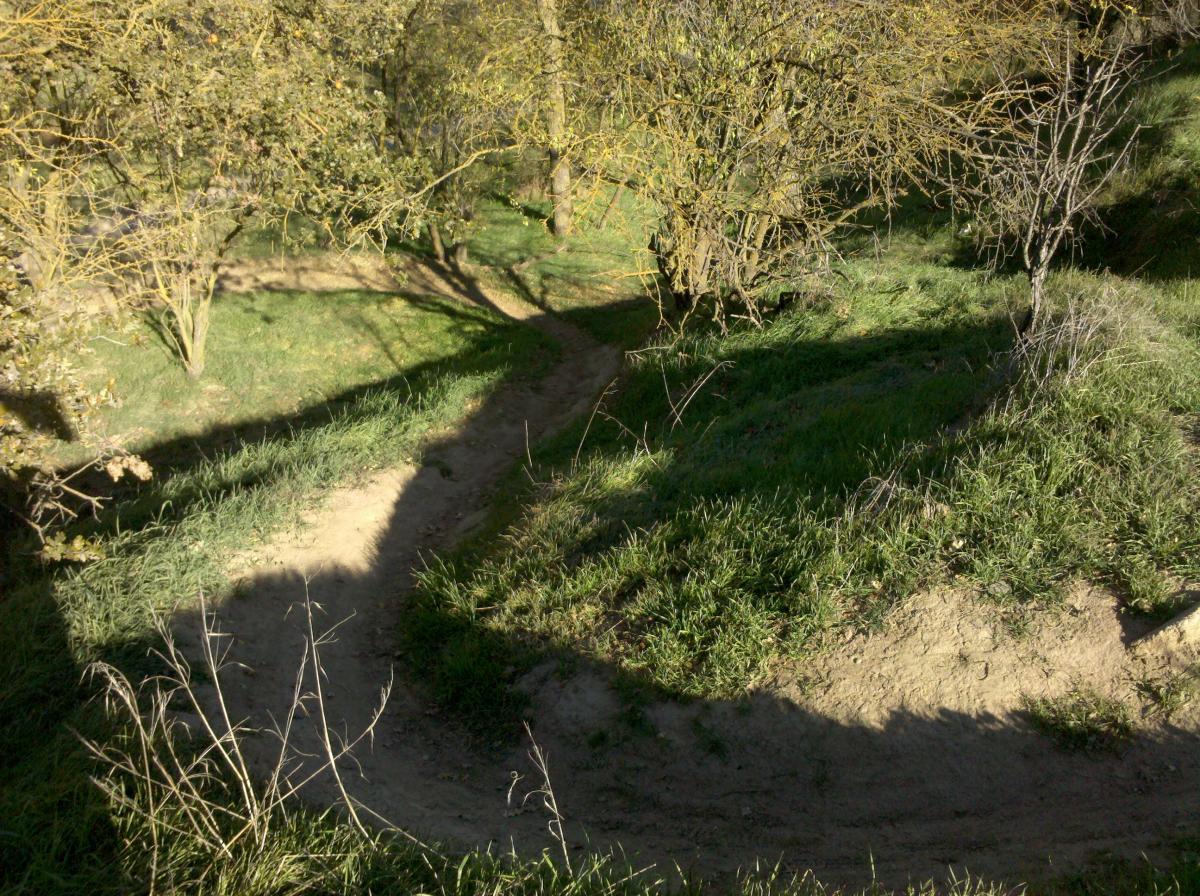 A winding dirt path through a grassy area surrounded by trees, with sunlight casting long shadows on the ground. The scene conveys a peaceful natural setting, showcasing the greenery and the texture of the path. Dry Creek Trail mountain bike trail.