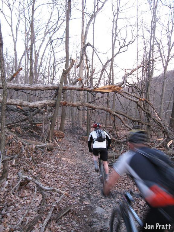 Two mountain bikers navigate a narrow trail through a dense forest, with a large fallen tree creating an obstacle overhead. The trees are bare, indicating early spring or late fall, and the ground is covered with brown leaves. North Park mountain bike trail.