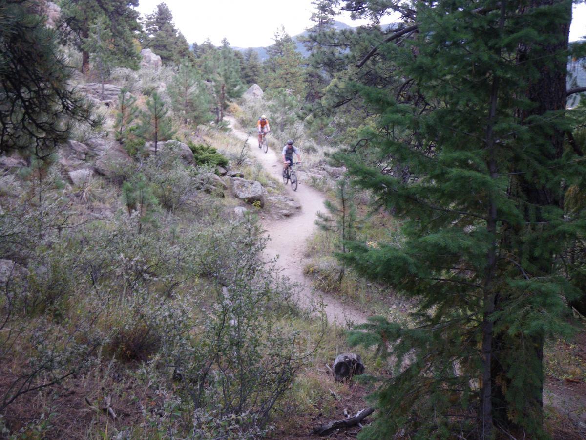 Two mountain bikers riding along a dirt trail surrounded by rocky terrain and dense greenery in a forested area. The scene includes tall trees and shrubs, creating a natural outdoor environment. 3 Sisters / Alderfer mountain bike trail.
