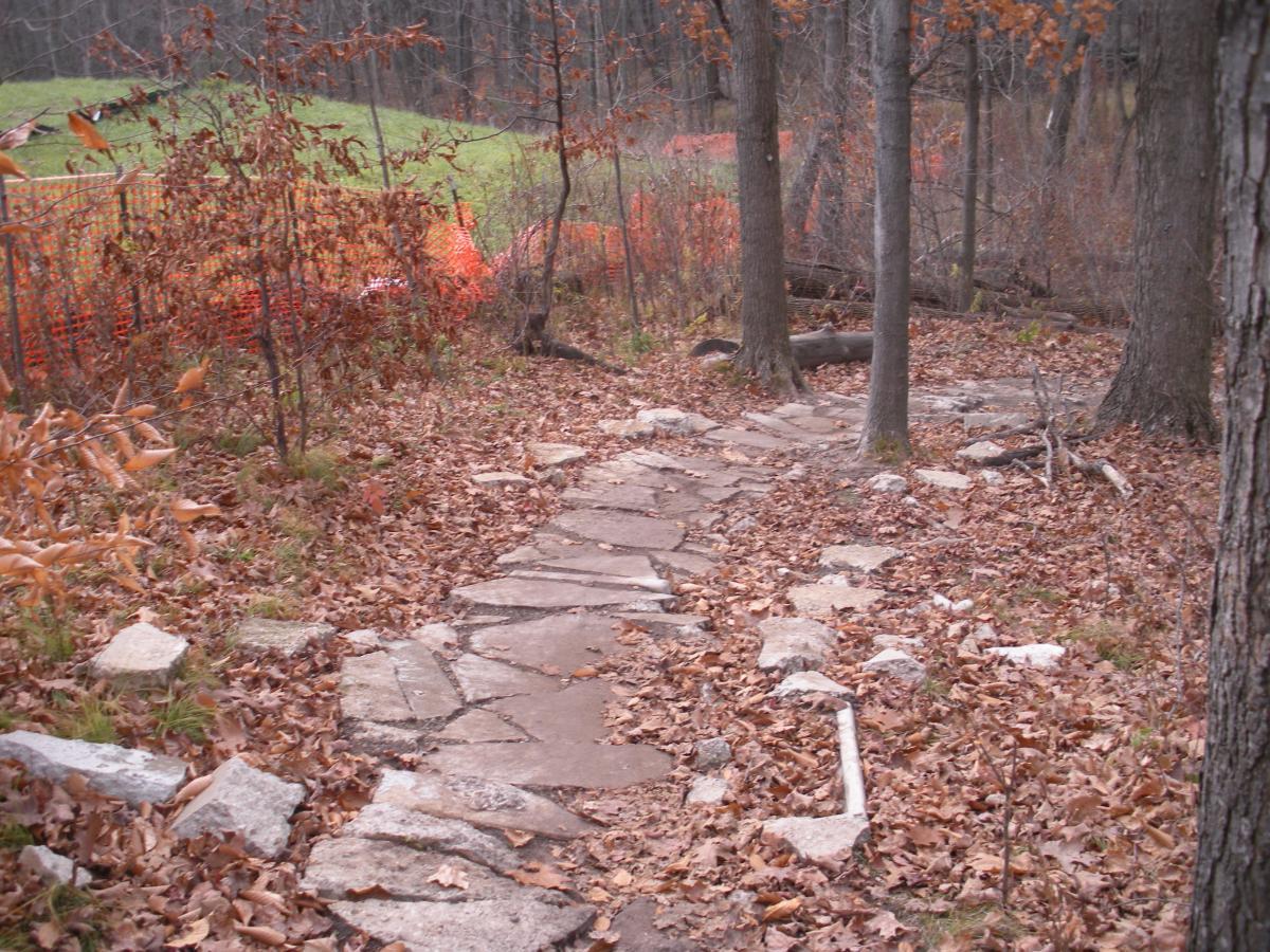 A winding stone path through a wooded area covered with fallen leaves, surrounded by trees with sparse foliage. In the background, a section of orange fencing is visible, contrasting with the natural landscape. Novi Tree Farm (Lakeshore Park) mountain bike trail.