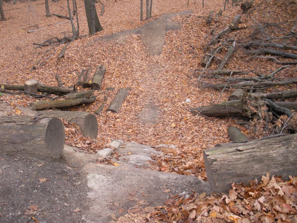 A forest path covered with orange and brown fallen leaves, framed by logs and branches. The ground is uneven, leading down an earthy trail amidst the trees in autumn. Novi Tree Farm (Lakeshore Park) mountain bike trail.