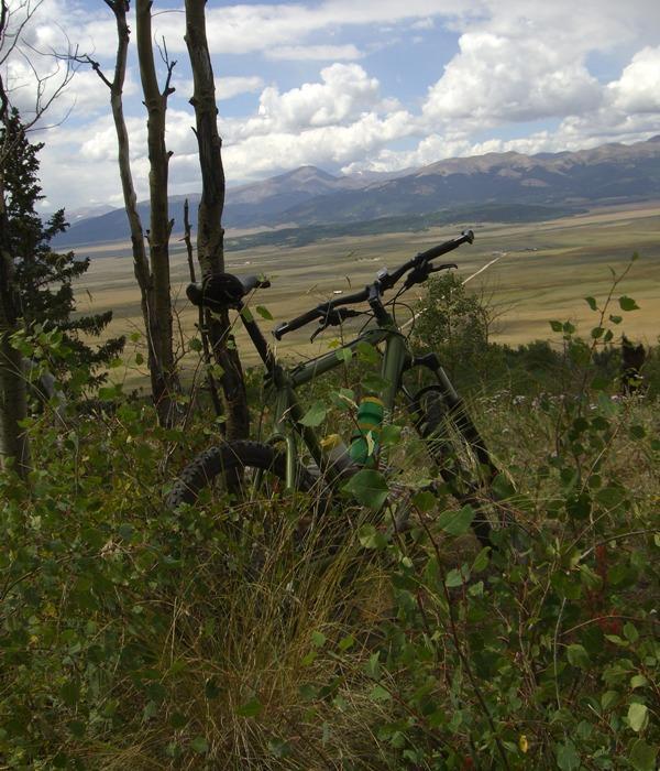 A green mountain bike leaning against trees, surrounded by tall grass and foliage, with a scenic view of rolling hills and mountains in the background under a partly cloudy sky. Colorado Trail mountain bike trail.