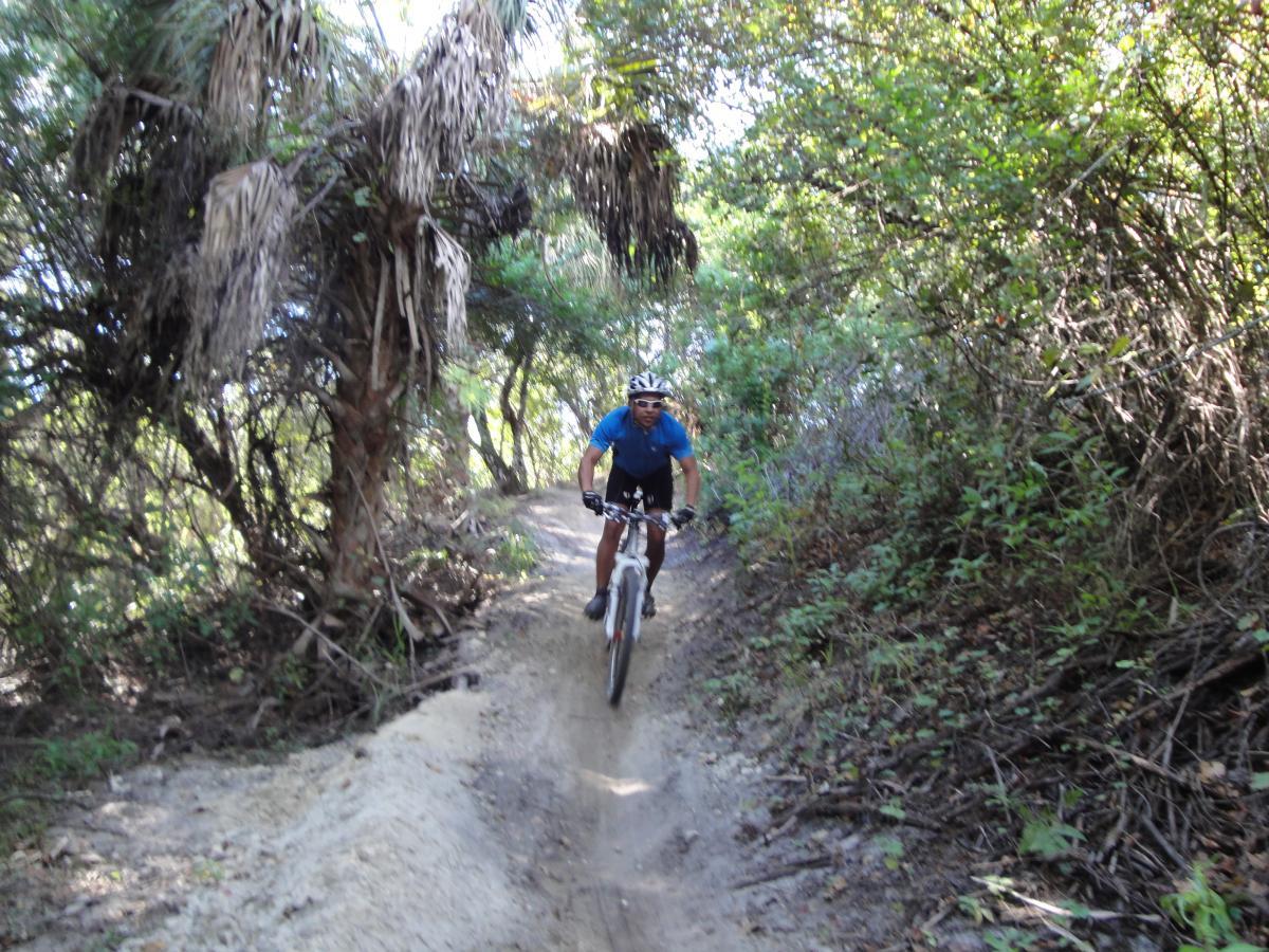 A person riding a mountain bike along a narrow, dirt trail surrounded by lush greenery and tall plants. The cyclist is wearing a blue shirt and a helmet, navigating the trail with focus, while the sun filters through the trees. Caloosahatchee Regional Park mountain bike trail.