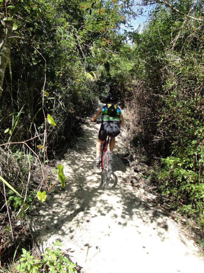 A cyclist riding a mountain bike along a narrow, sandy trail surrounded by dense greenery and trees. The scene is bright and sunny, with foliage on either side of the path creating a natural tunnel effect. Caloosahatchee Regional Park mountain bike trail.