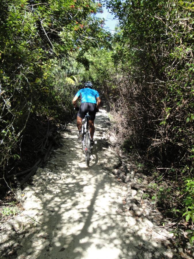 A cyclist navigating a narrow, dirt trail surrounded by dense greenery under bright sunlight. The rider, wearing a blue shirt and black shorts, is seen from behind, focusing on the path ahead as sunlight casts shadows on the trail. Caloosahatchee Regional Park mountain bike trail.