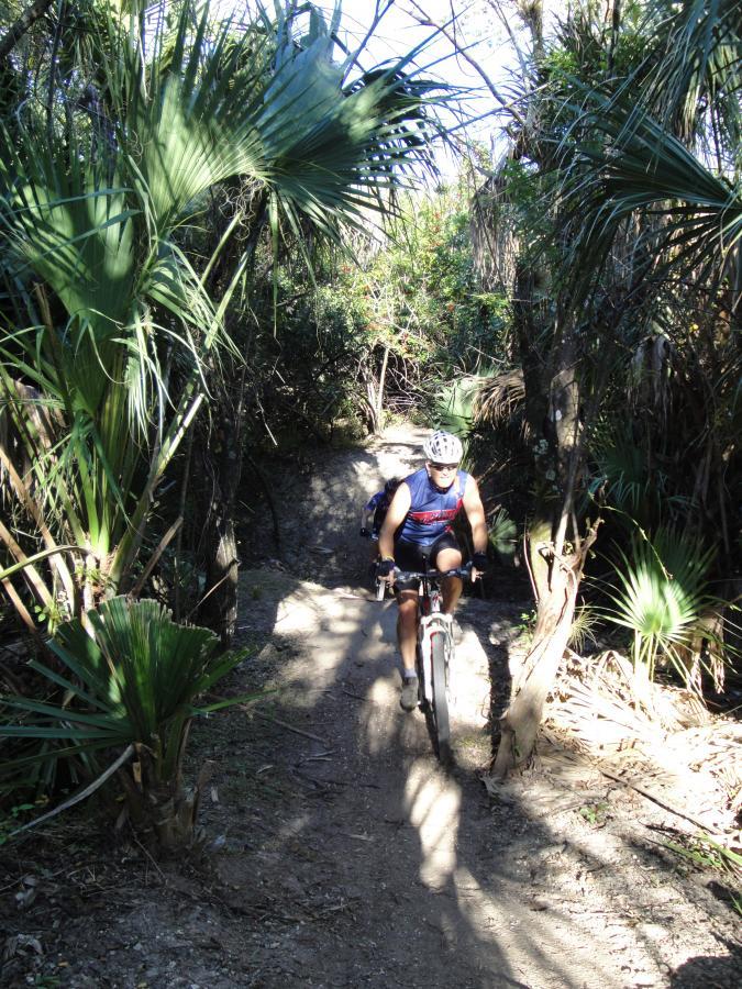 A mountain biker riding along a narrow, dirt trail surrounded by lush greenery and palm trees. The scene is illuminated by sunlight filtering through the foliage, creating a natural, vibrant atmosphere. Caloosahatchee Regional Park mountain bike trail.