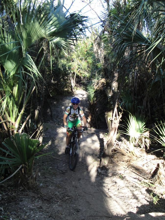 A person riding a mountain bike along a narrow dirt trail surrounded by dense greenery and palm trees. Sunlight filters through the foliage, illuminating the path as the rider navigates the terrain. Caloosahatchee Regional Park mountain bike trail.