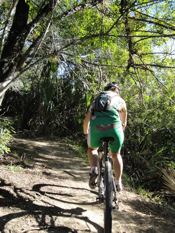 A person riding a mountain bike on a narrow dirt trail surrounded by dense greenery and trees, with sunlight filtering through the leaves. The cyclist is dressed in bright green biking shorts and a colorful shirt, and is seen from behind as they navigate the path. Caloosahatchee Regional Park mountain bike trail.