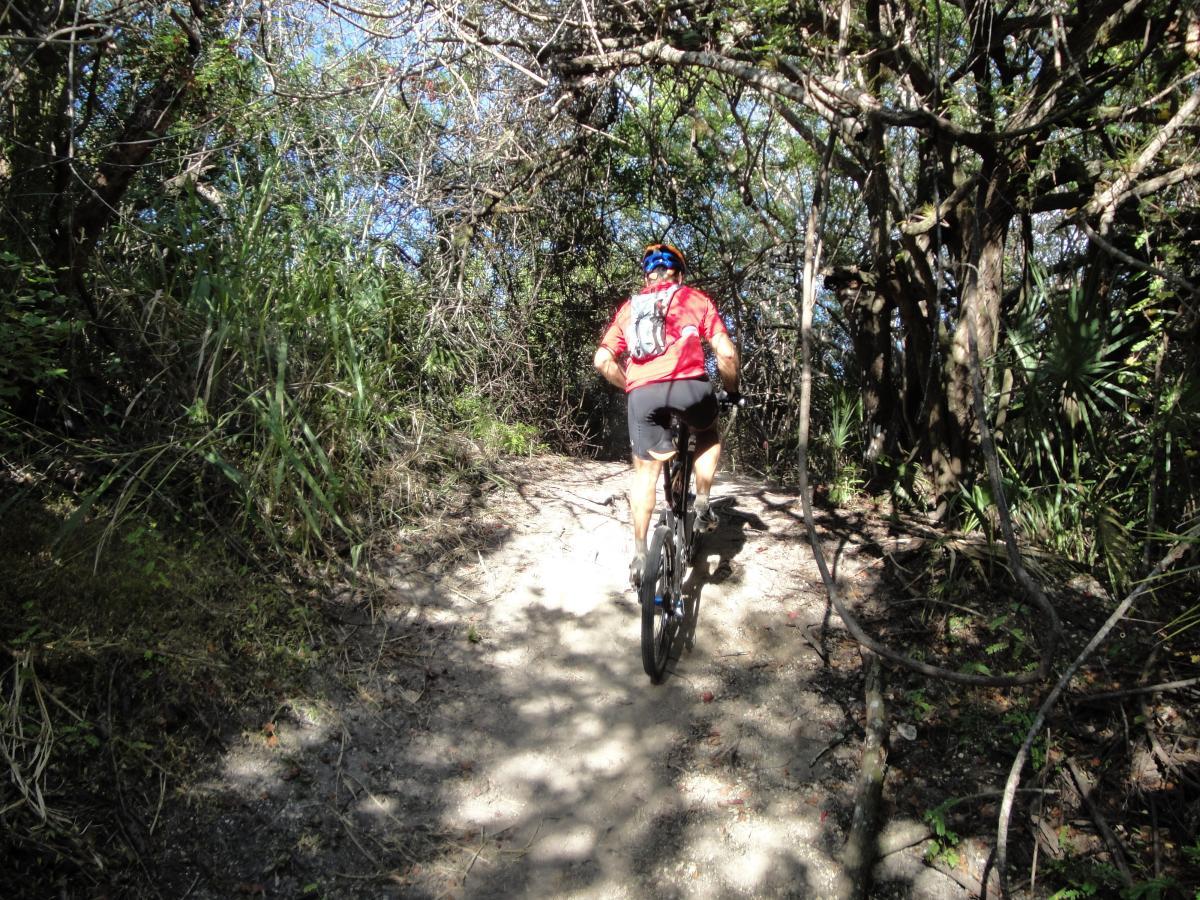 A person wearing a red shirt and a blue helmet is riding a mountain bike along a narrow, dirt trail surrounded by dense greenery and trees. The lighting indicates a sunny day, casting shadows on the path. Caloosahatchee Regional Park mountain bike trail.