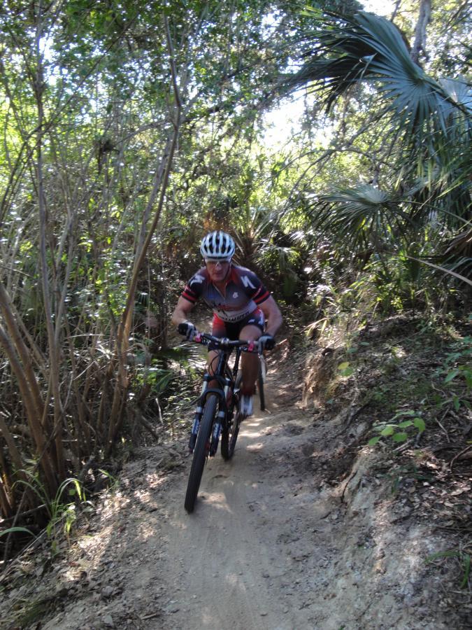 A mountain biker navigating a narrow dirt trail through a lush, green forest. The rider is wearing a helmet and a colorful cycling outfit, focused on the challenging terrain ahead. Sunlight filters through the trees, creating a vibrant natural setting. Caloosahatchee Regional Park mountain bike trail.