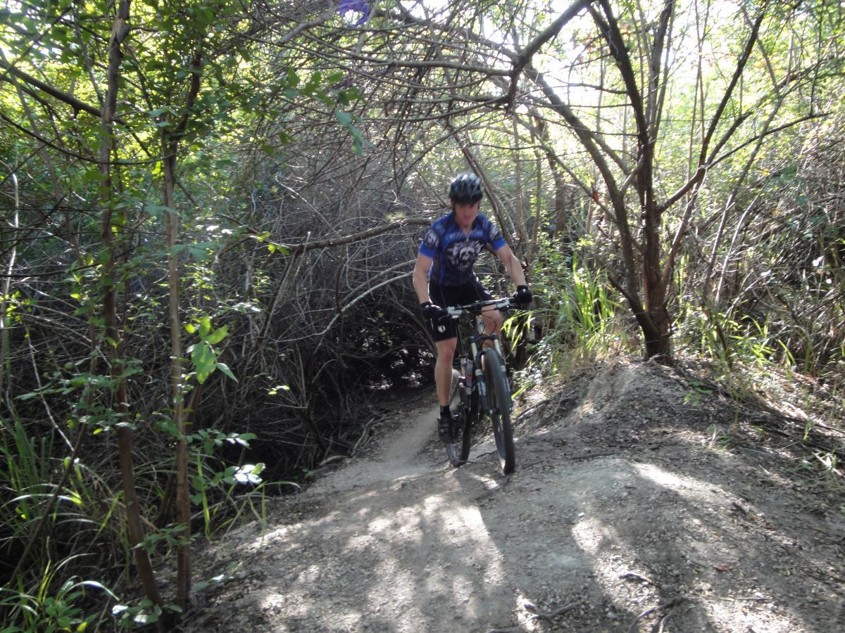 A person riding a mountain bike along a narrow dirt trail surrounded by dense greenery and trees. Sunlight filters through the branches, illuminating the path. The rider is wearing a helmet and a cycling jersey. Caloosahatchee Regional Park mountain bike trail.