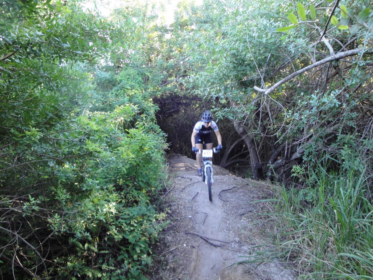 A mountain biker navigating a narrow dirt trail surrounded by dense greenery, capturing the thrill of outdoor cycling in a natural setting. Caloosahatchee Regional Park mountain bike trail.