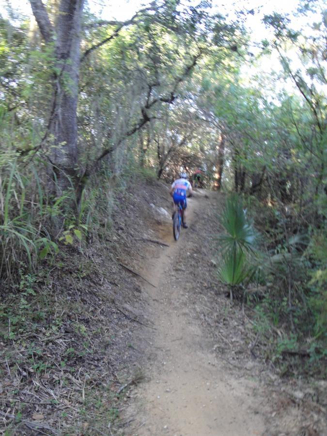 A person riding a mountain bike on a narrow dirt trail surrounded by dense greenery, including trees and bushes. The cyclist is seen from the back as they navigate the path, which is slightly winding and includes patches of sunlight filtering through the foliage. Caloosahatchee Regional Park mountain bike trail.
