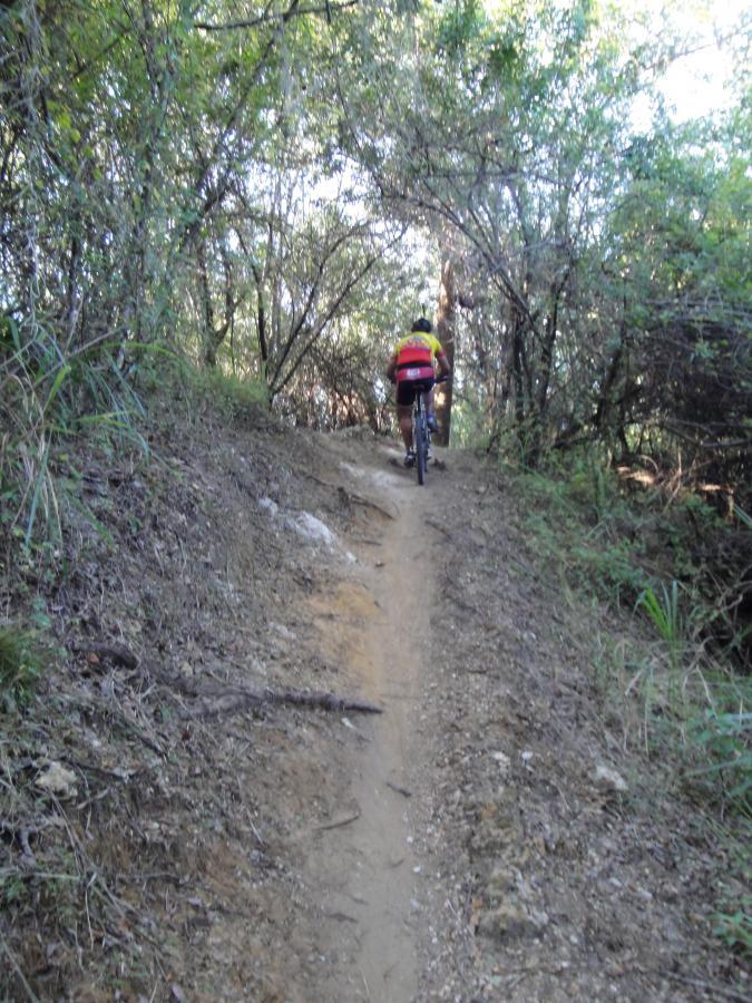 A person riding a mountain bike on a narrow dirt trail surrounded by dense greenery and trees, ascending a slope. Caloosahatchee Regional Park mountain bike trail.