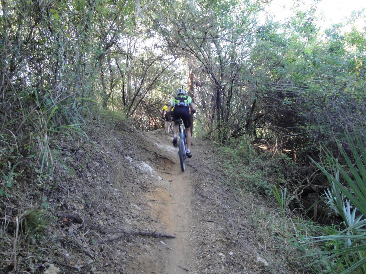 A cyclist rides along a narrow, dirt trail surrounded by dense vegetation and trees. The path is slightly uphill and shows signs of natural wear. The scene captures the essence of outdoor biking in a wooded area. Caloosahatchee Regional Park mountain bike trail.