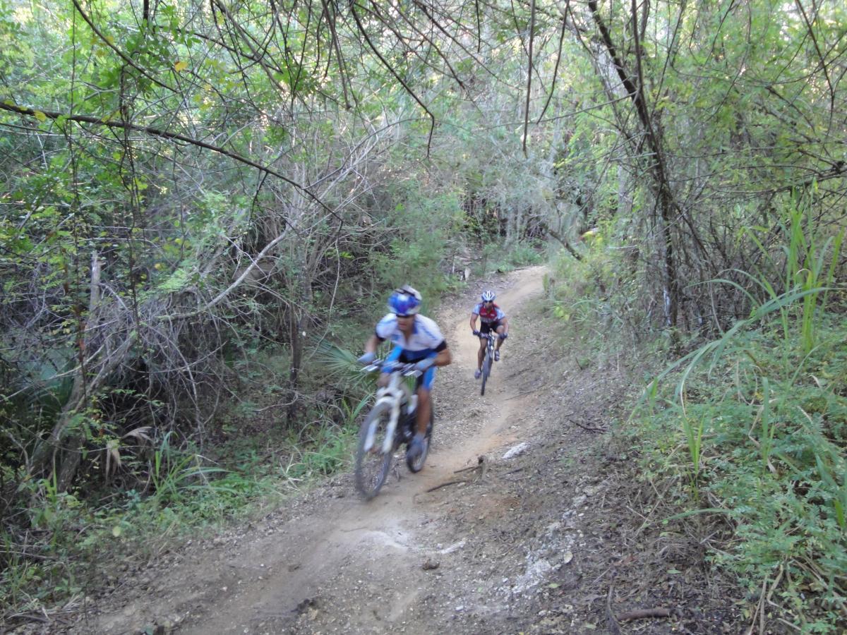 Two mountain bikers riding along a narrow dirt trail through a lush, green forest. The foreground features one biker in a blue jersey and blue helmet, while another biker wearing a red jersey is following closely behind. The scene captures a sense of movement and adventure in a natural setting. Caloosahatchee Regional Park mountain bike trail.