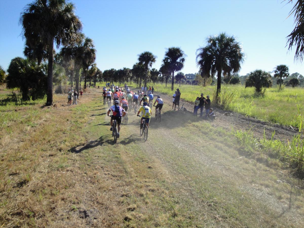 A group of mountain bikers riding along a dirt path in a grassy area lined with palm trees. Spectators watch from the side as the cyclists create a cloud of dust in the bright sunlight. Caloosahatchee Regional Park mountain bike trail.