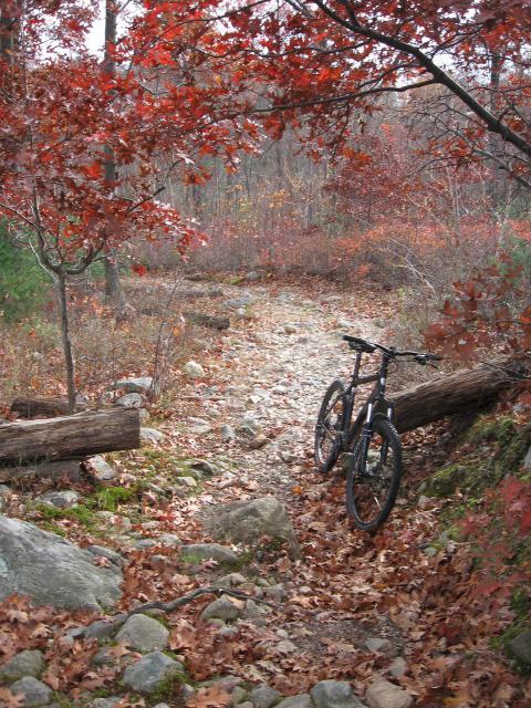 A rocky mountain bike trail surrounded by autumn foliage, featuring vibrant red and orange leaves. A mountain bike is parked beside the trail, with fallen leaves and logs scattered throughout the scene. Lynn Woods Reservation mountain bike trail.