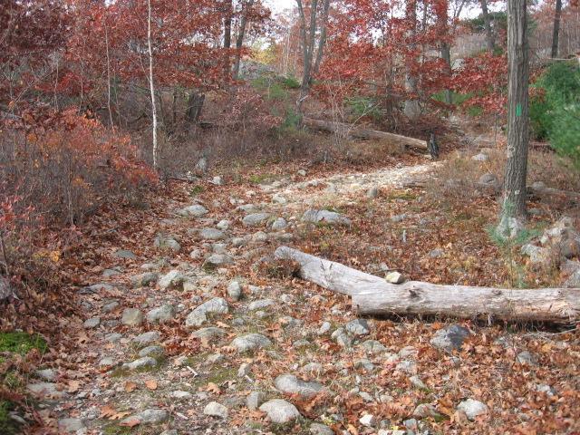 A rocky pathway winding through a wooded area with orange and red autumn leaves scattered on the ground. Several large stones are visible along the trail, and a fallen log is lying across the path. Bare trees and some evergreens can be seen in the background, indicating a serene natural setting. Lynn Woods Reservation mountain bike trail.