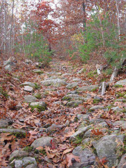 A rocky trail covered with fallen leaves, surrounded by trees in varying shades of green and red, indicating autumn. The path leads into the distance, with a mix of small rocks and scattered foliage along the sides. Lynn Woods Reservation mountain bike trail.