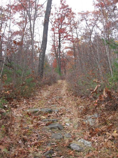 A dirt trail meanders through a forest in autumn, flanked by trees with vibrant red and orange leaves. The path is lined with fallen leaves and small stones, leading into the distance under a cloudy sky. Lynn Woods Reservation mountain bike trail.