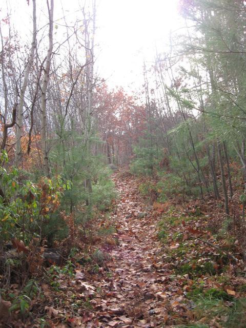 A winding dirt path through a forest, surrounded by trees and scattered autumn leaves. The sunlight filters through the branches, creating a soft glow in the background. Lynn Woods Reservation mountain bike trail.