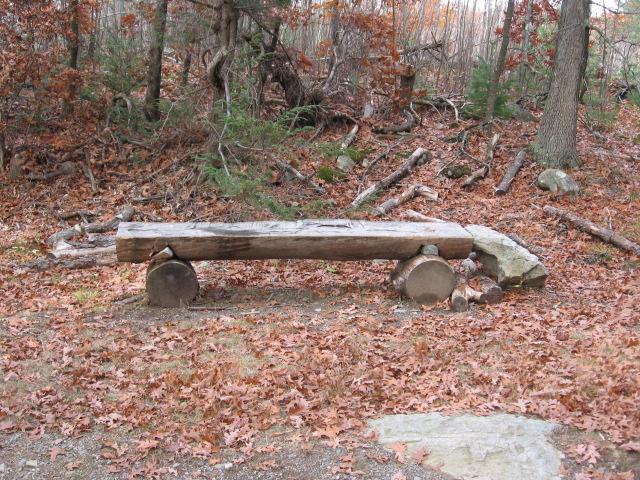 A rustic wooden bench made from a log, resting on two round stumps, surrounded by a forest floor covered in orange and brown autumn leaves, with scattered branches and trees in the background. Lynn Woods Reservation mountain bike trail.