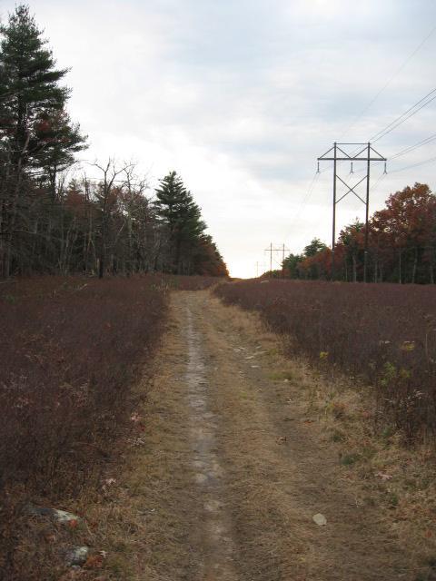 A gravel path extends into the distance, flanked by sparse bushes and trees on either side. Power lines run parallel to the trail, and the sky is overcast, suggesting a cool day. The setting conveys a quiet, natural landscape with a sense of solitude. Adams Farm mountain bike trail.
