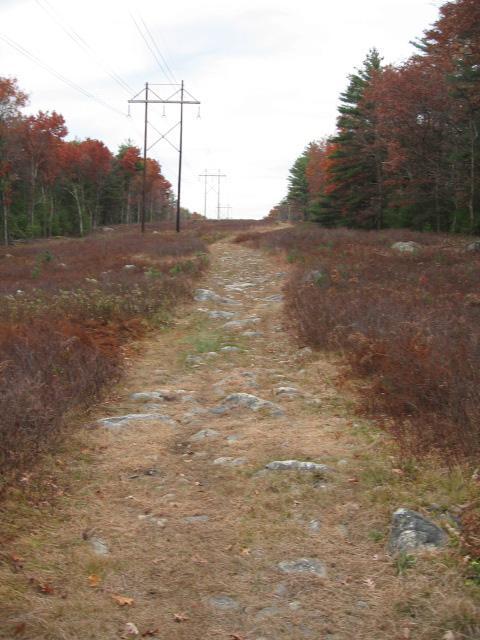 A dirt path lined with rocks, surrounded by tall grass and shrubbery, leading towards power lines and trees displaying autumn foliage in shades of red and orange. The sky is overcast, giving the scene a serene, tranquil atmosphere. Adams Farm mountain bike trail.