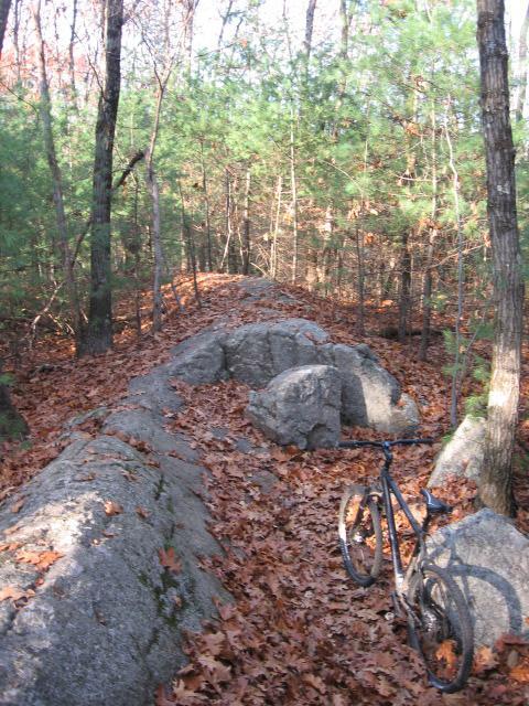 A black mountain bike parked on a rocky trail surrounded by trees and autumn leaves. The path is lined with large rocks and covered with fallen leaves, while greenery peeks through the trees in the background. Harold Parker State Forest mountain bike trail.