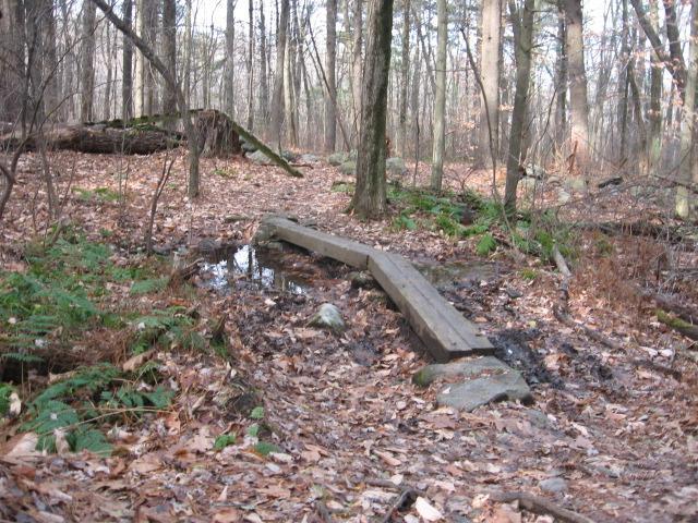 A narrow wooden plank bridge crossing a muddy area in a forest, surrounded by fallen leaves and ferns, with trees in the background. Landlocked Forest mountain bike trail.
