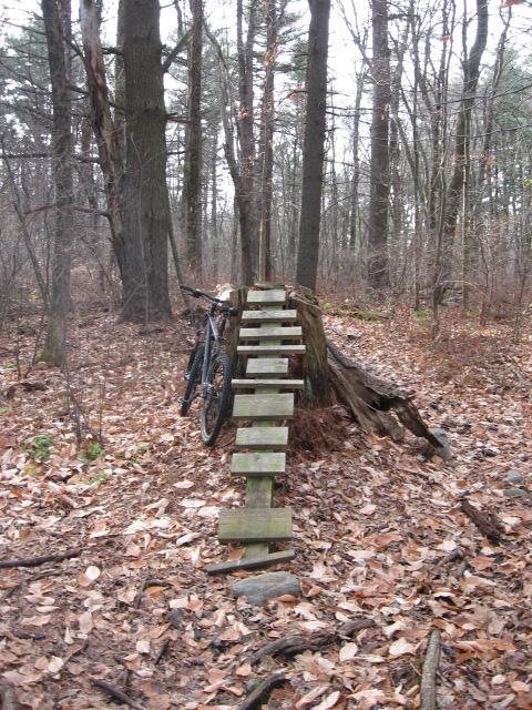 A wooden ramp made of planks leads from a tree stump in a wooded area, with a bicycle parked beside it. The ground is covered with fallen leaves, and tall trees surround the scene, indicating a natural forest environment. Landlocked Forest mountain bike trail.
