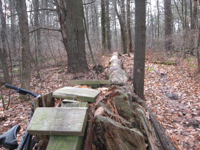 A view of a wooded area with a large fallen log covered in leaves and moss, illustrating a natural trail. In the foreground, there's a bicycle leaning against the log, while trees with bare branches and fallen leaves surround the scene, suggesting a cool, early autumn environment. Landlocked Forest mountain bike trail.