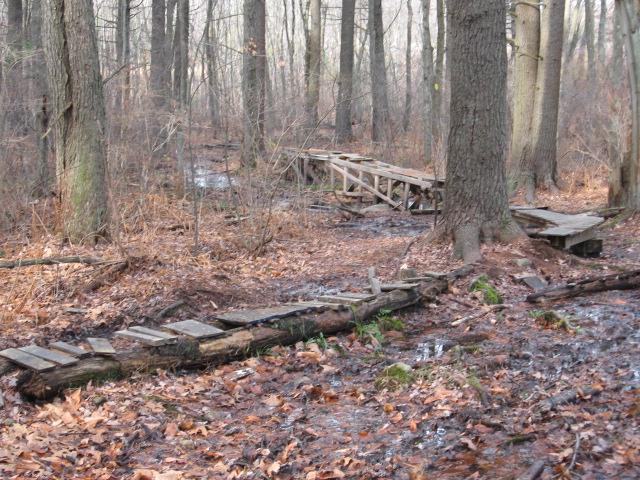 A wooden footbridge over a muddy path in a forest, surrounded by trees and fallen leaves. The scene appears damp, indicating recent rain or wet conditions. Landlocked Forest mountain bike trail.