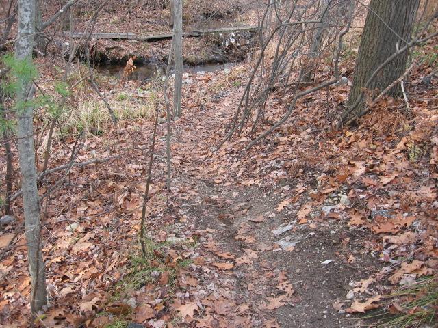 A narrow dirt path covered with fallen leaves, flanked by bare trees and brush, leading towards a small stream and a wooden footbridge in a natural setting. Landlocked Forest mountain bike trail.