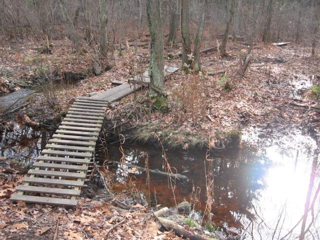 A wooden plank bridge crossing over a small stream in a wooded area, surrounded by fallen leaves and trees. The scene is quiet and natural, with reflections of light shimmering on the water surface. Landlocked Forest mountain bike trail.