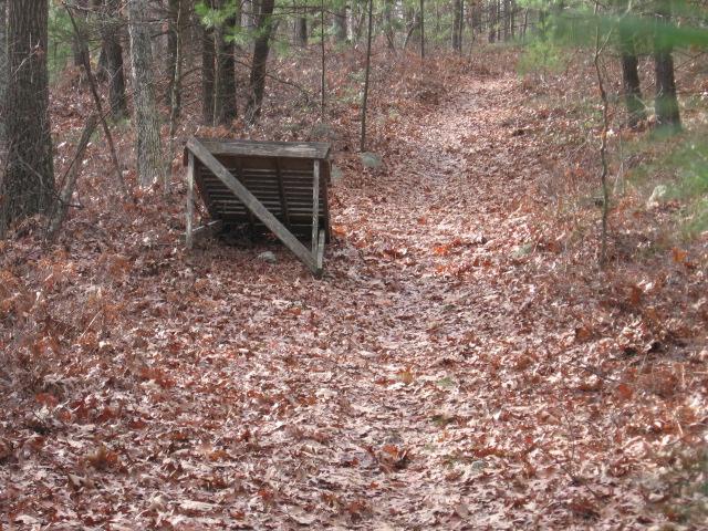 A dirt path winding through a forest, covered in fallen leaves, with a wooden structure partially visible to the side of the trail. The scene captures the tranquility of nature in a wooded area. Landlocked Forest mountain bike trail.